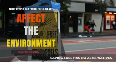Debunking Myths: Fossil Fuels' Environmental Impact Despite Common Claims
