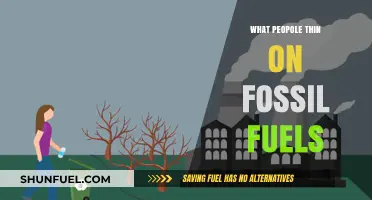 Public Opinion on Fossil Fuels: Perspectives, Concerns, and Future Outlook