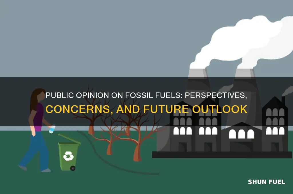what peopole thin on fossil fuels