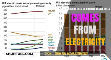 Electricity's Fossil Fuel Dependence: US Burning Percentage Revealed