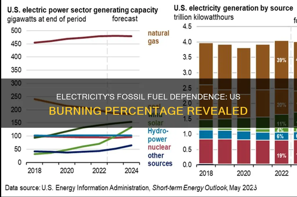 what percent does us burning fossil fuels comes from electricity