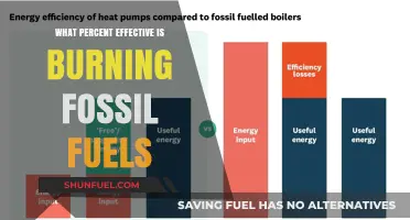 Burning Fossil Fuels: Assessing Their Efficiency and Environmental Impact