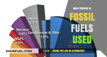 Fossil Fuels Dominance: Understanding Their Global Energy Usage Percentage