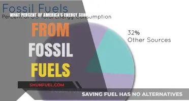 America's Energy Dependence: Fossil Fuels' Dominance in Percentage Revealed