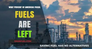 Remaining Fossil Fuels in America: How Much is Left?