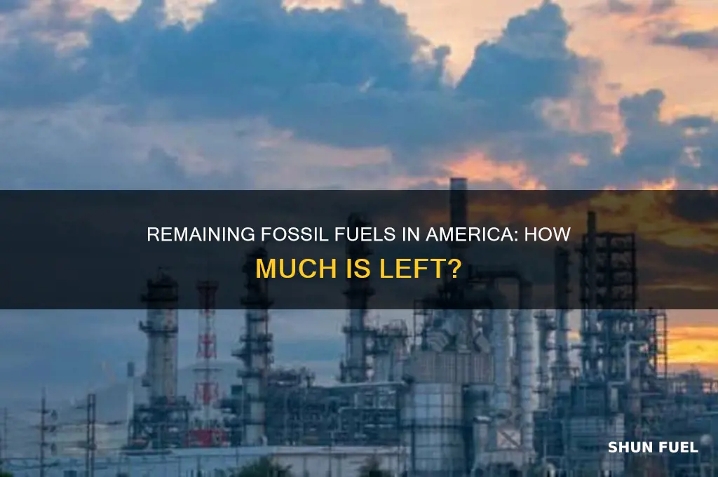 what percent of americas fossil fuels are left