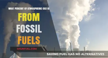 Fossil Fuels' Role in Atmospheric CO2: Uncovering the Percentage