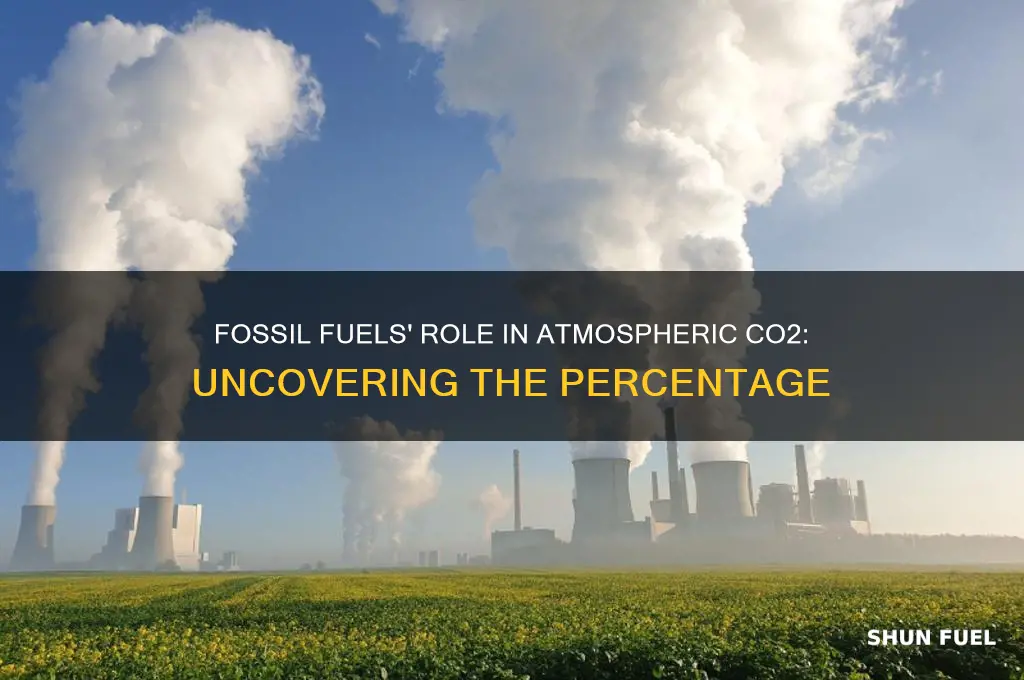 what percent of atmospheric co2 is from fossil fuels