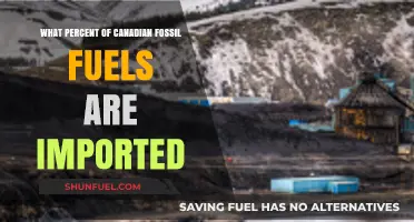 Canada's Fossil Fuel Dependency: How Much is Imported?