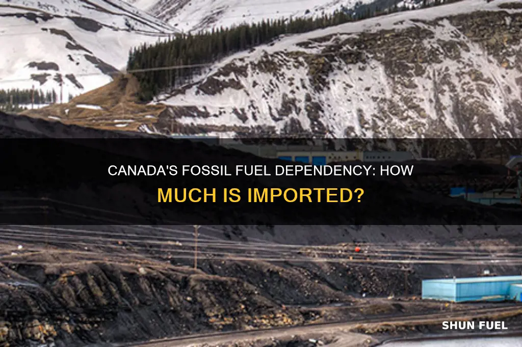 what percent of canadian fossil fuels are imported