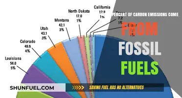 Fossil Fuels' Role in Global Carbon Emissions: A Percentage Breakdown