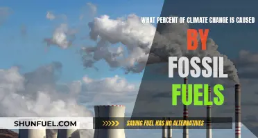 Fossil Fuels' Role in Climate Change: Understanding the Percentages