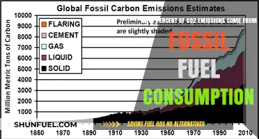 Fossil Fuel Consumption's Role in Global CO2 Emissions: A Breakdown