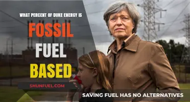 Duke Energy's Fossil Fuel Dependency: Analyzing Its Percentage Breakdown