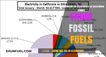 California's Energy Mix: Fossil Fuels' Role in Electricity Generation
