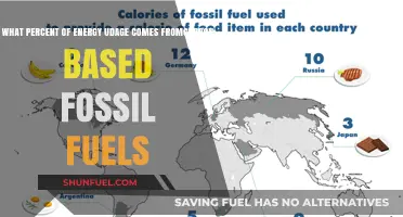 Global Energy Dependence: Carbon-Based Fossil Fuels' Dominant Percentage