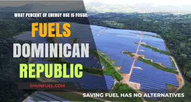 Dominican Republic's Energy Reliance: Fossil Fuels' Dominance in Percentages