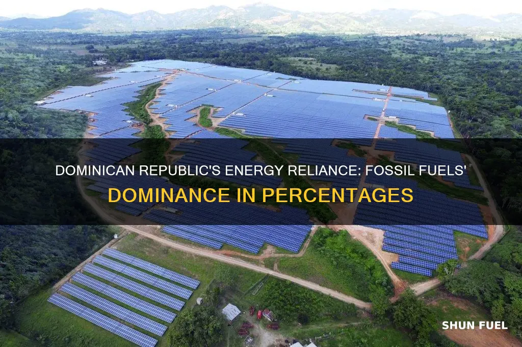 what percent of energy use is fossil fuels dominican republic