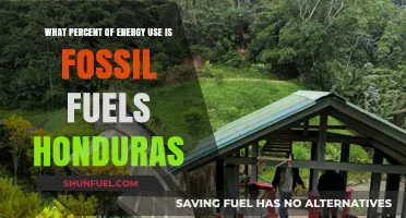 Honduras' Energy Reliance: Fossil Fuels' Dominance in Percentage Revealed