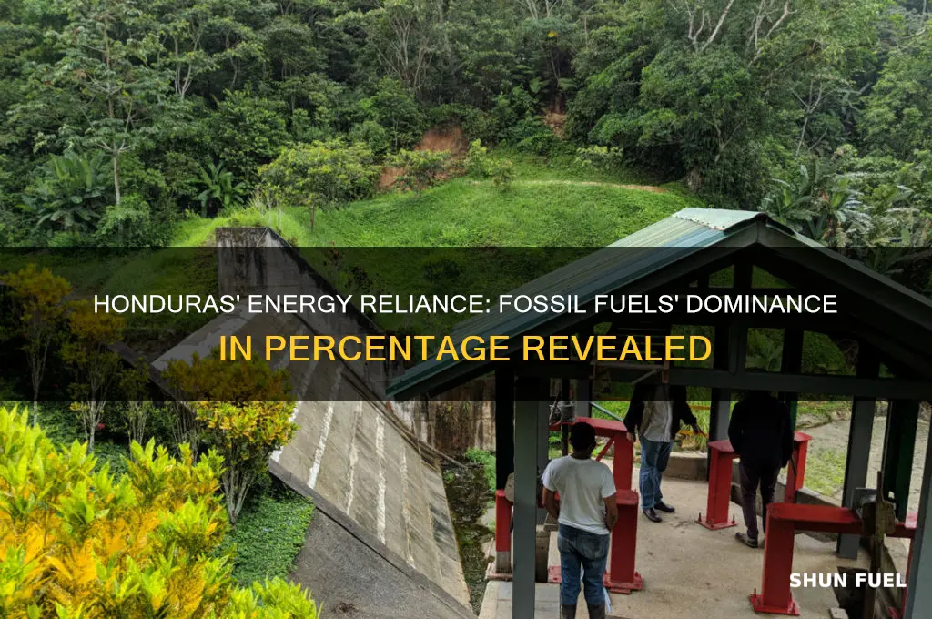 what percent of energy use is fossil fuels honduras