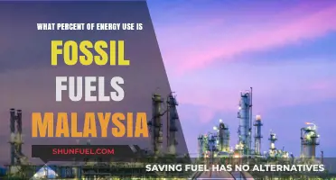 Malaysia's Energy Reliance: Fossil Fuels' Dominance in National Consumption