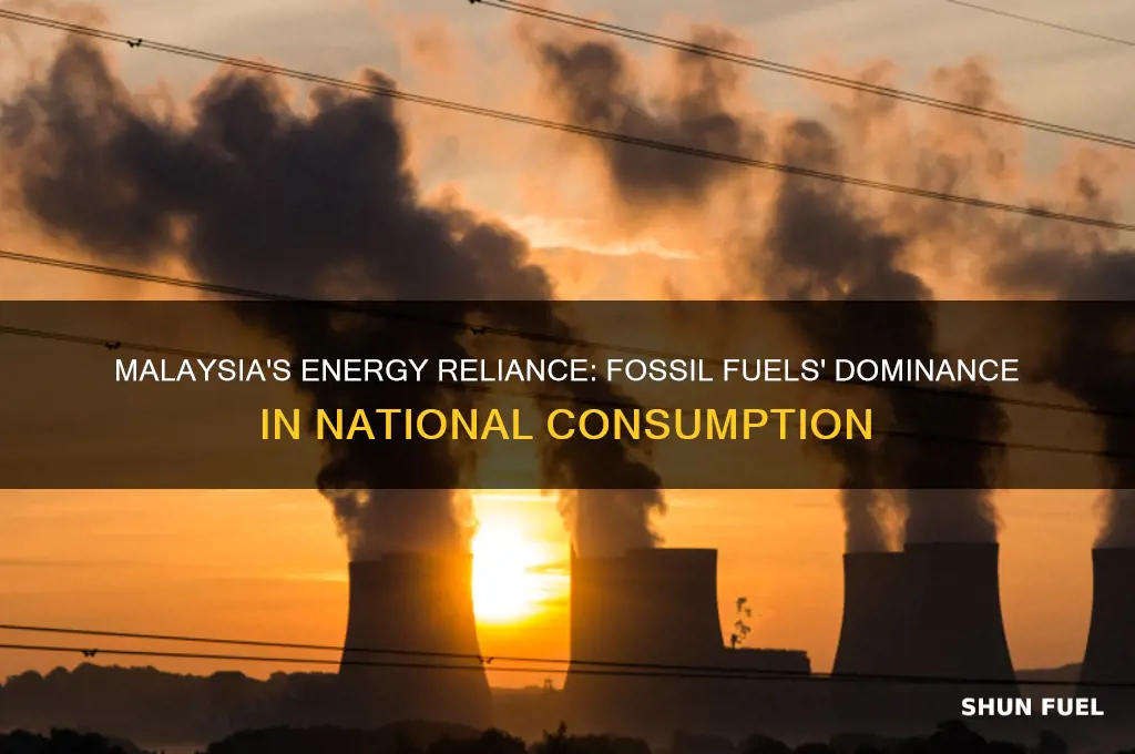 what percent of energy use is fossil fuels malaysia