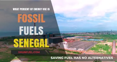 Senegal's Energy Mix: Fossil Fuels' Dominance and Percentage Breakdown