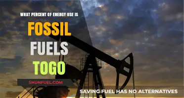 Togo's Energy Reliance: Fossil Fuels' Dominance in Percentage Revealed