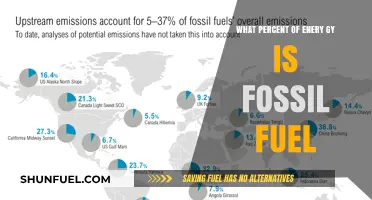 Fossil Fuels Dominance: Understanding Their Percentage in Global Energy Mix