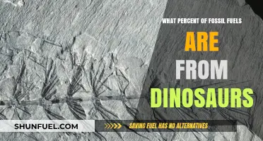 Are Dinosaurs the Source of Most Fossil Fuels?