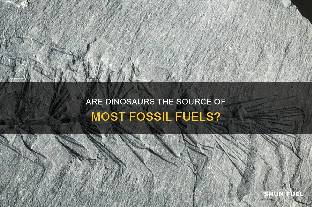 what percent of fossil fuels are from dinosaurs