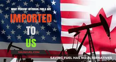 US Energy Dependence: Analyzing Imported Fossil Fuel Percentage