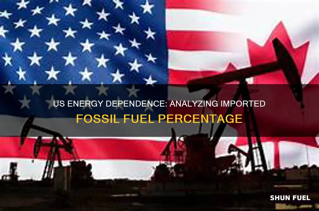 what percent of fossil fuels are imported to us