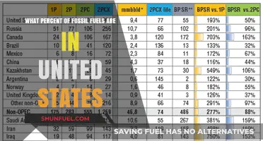 United States Fossil Fuel Reserves: A Percentage Breakdown