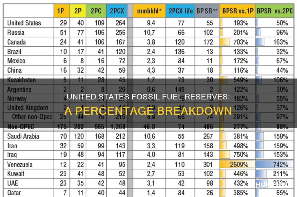 what percent of fossil fuels are in united states