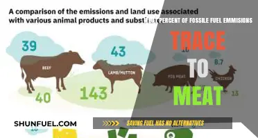 Meat's Hidden Impact: Uncovering Fossil Fuel Emissions in Food Production