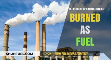 Burning Trash for Energy: How Much Waste Can Fuel Our Future?