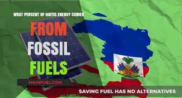 Haiti's Energy Mix: Fossil Fuels' Dominance and Sustainability Challenges