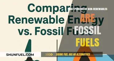 Fossil Fuels Dominance: Understanding Their Share in Non-Renewable Energy