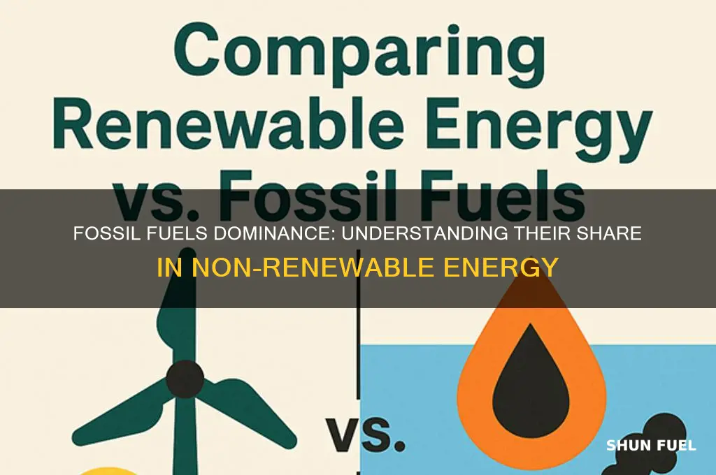 what percent of non-renewables are fossil fuels