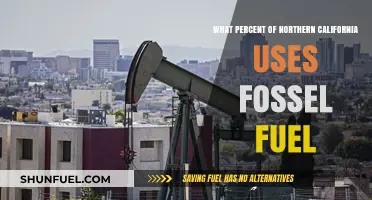 Northern California's Fossil Fuel Dependency: Uncovering Usage Percentages