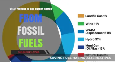 Energy Sources: Fossil Fuels' Dominance