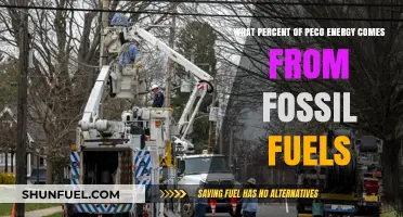 PECO Energy's Fossil Fuel Dependency: Uncovering the Percentage Breakdown