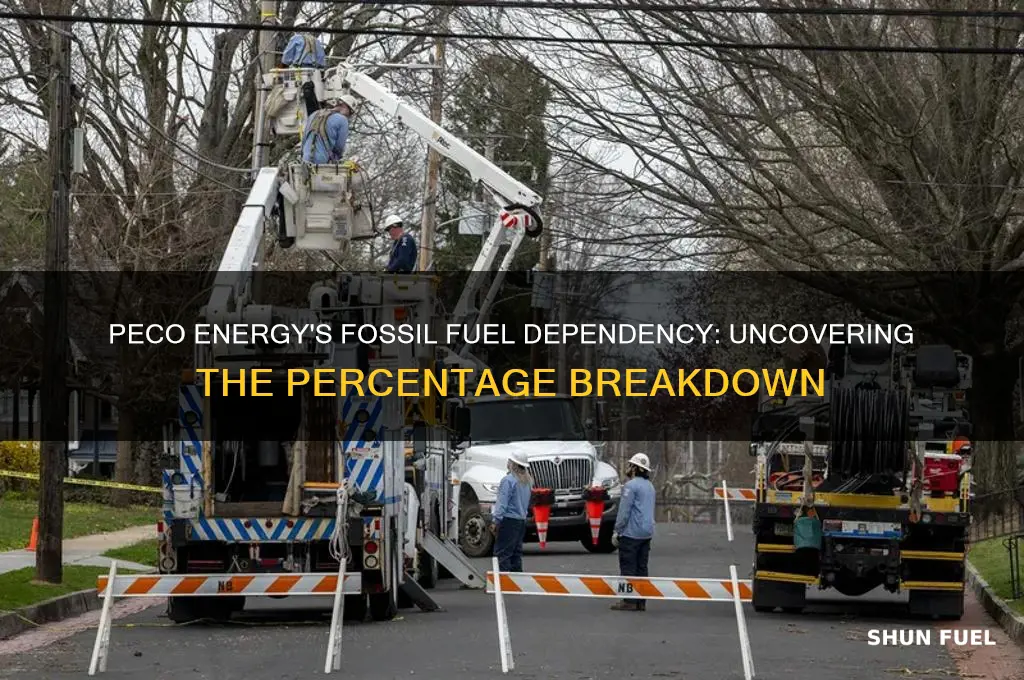 what percent of peco energy comes from fossil fuels