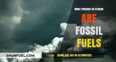 Fossil Fuels' Stock Market Share: Analyzing Their Percentage Presence