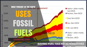 Global Fossil Fuel Dependence: Understanding Earth's Energy Consumption Percentages