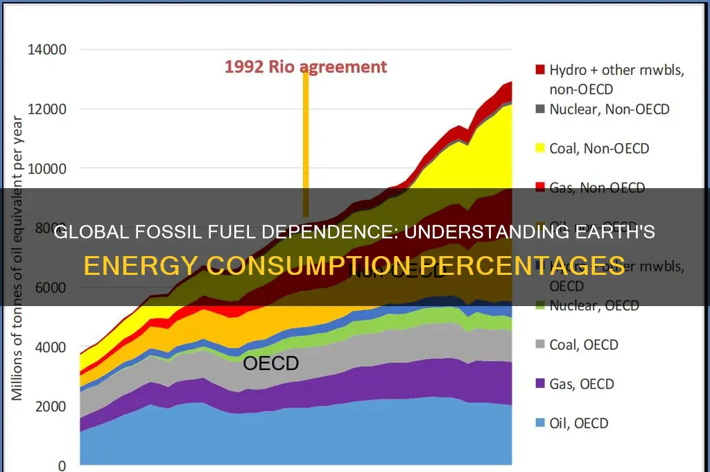what percent of the earth uses fossil fuels