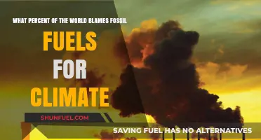 Global Consensus: Fossil Fuels' Role in Climate Change Revealed