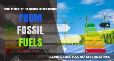 Fossil Fuels Dominance: Understanding Their Share in Global Energy Supply