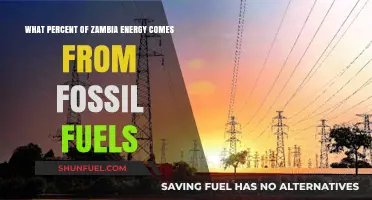 Zambia's Energy Mix: Fossil Fuels' Role and Percentage Revealed